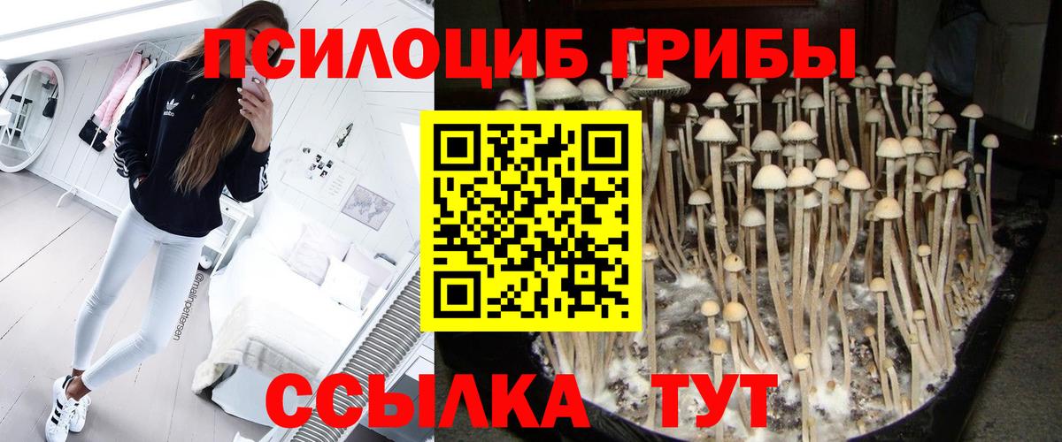 Псилоцибиновые грибы прущие грибы Иваново