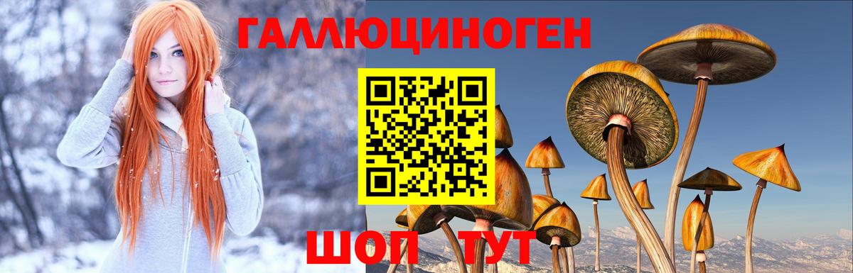 где купить наркотик  Псилоцибиновые грибы MAGIC MUSHROOMS  Вход с VPN  Иваново 